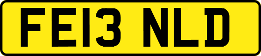 FE13NLD