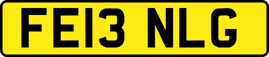FE13NLG
