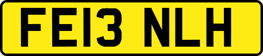 FE13NLH