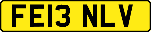 FE13NLV