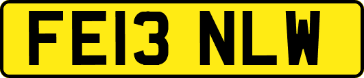 FE13NLW