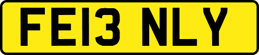 FE13NLY