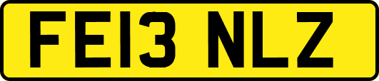 FE13NLZ