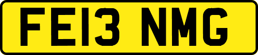 FE13NMG