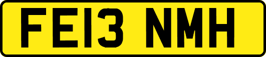 FE13NMH