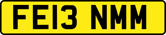 FE13NMM