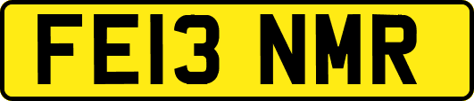 FE13NMR