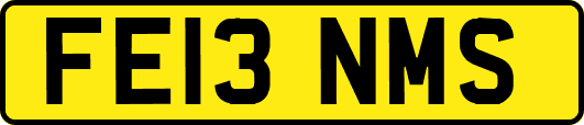FE13NMS
