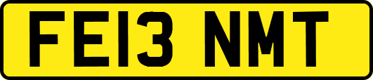 FE13NMT