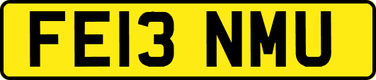 FE13NMU