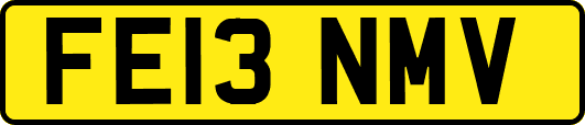 FE13NMV