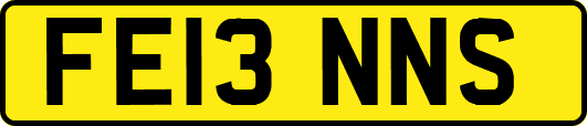 FE13NNS