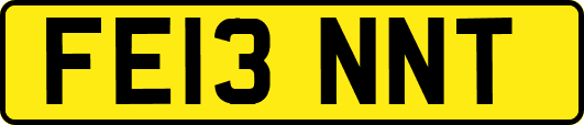 FE13NNT