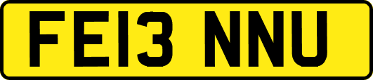 FE13NNU