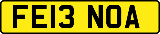 FE13NOA