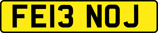 FE13NOJ
