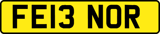FE13NOR