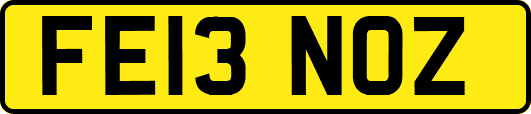 FE13NOZ