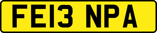 FE13NPA