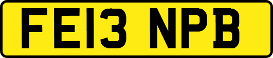 FE13NPB