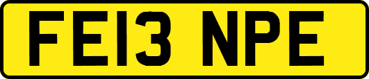 FE13NPE
