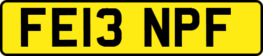 FE13NPF