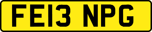 FE13NPG