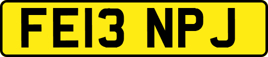FE13NPJ