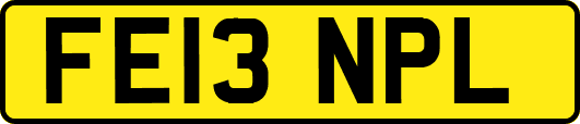 FE13NPL