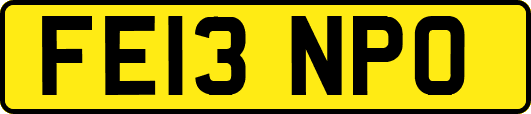 FE13NPO
