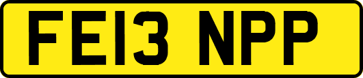 FE13NPP