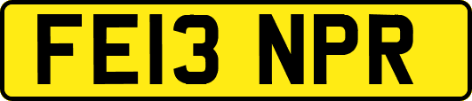 FE13NPR