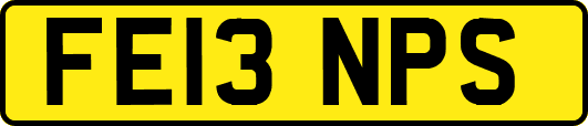 FE13NPS