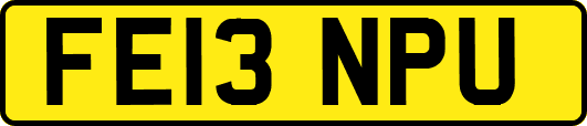 FE13NPU