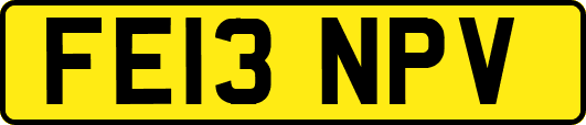 FE13NPV