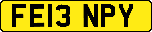 FE13NPY