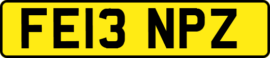 FE13NPZ