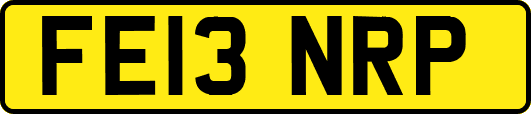 FE13NRP