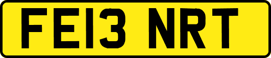 FE13NRT
