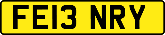 FE13NRY