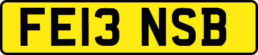 FE13NSB
