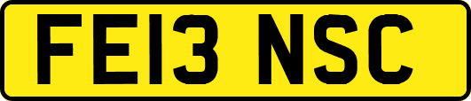 FE13NSC