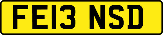 FE13NSD