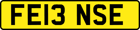 FE13NSE