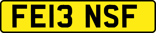 FE13NSF