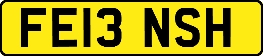 FE13NSH