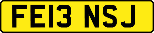 FE13NSJ