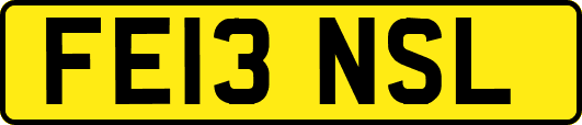 FE13NSL