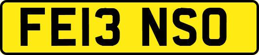 FE13NSO
