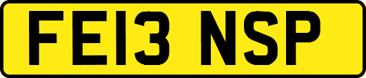 FE13NSP